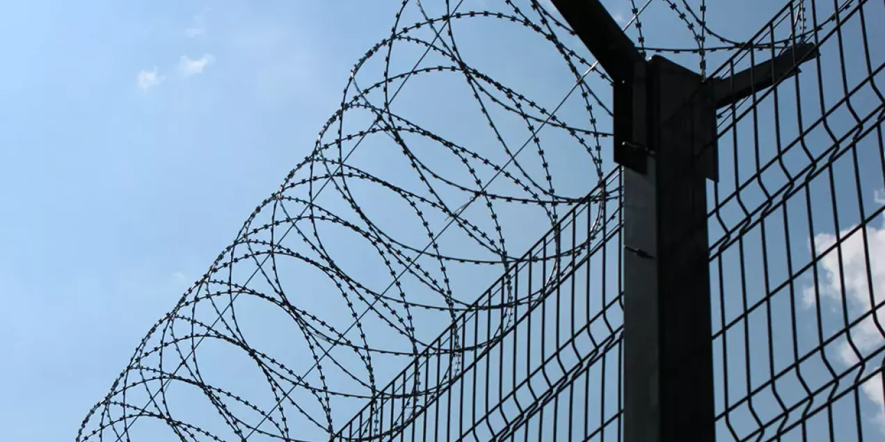 Why Egoza is installed on fences