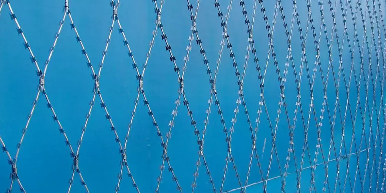 Razor mesh