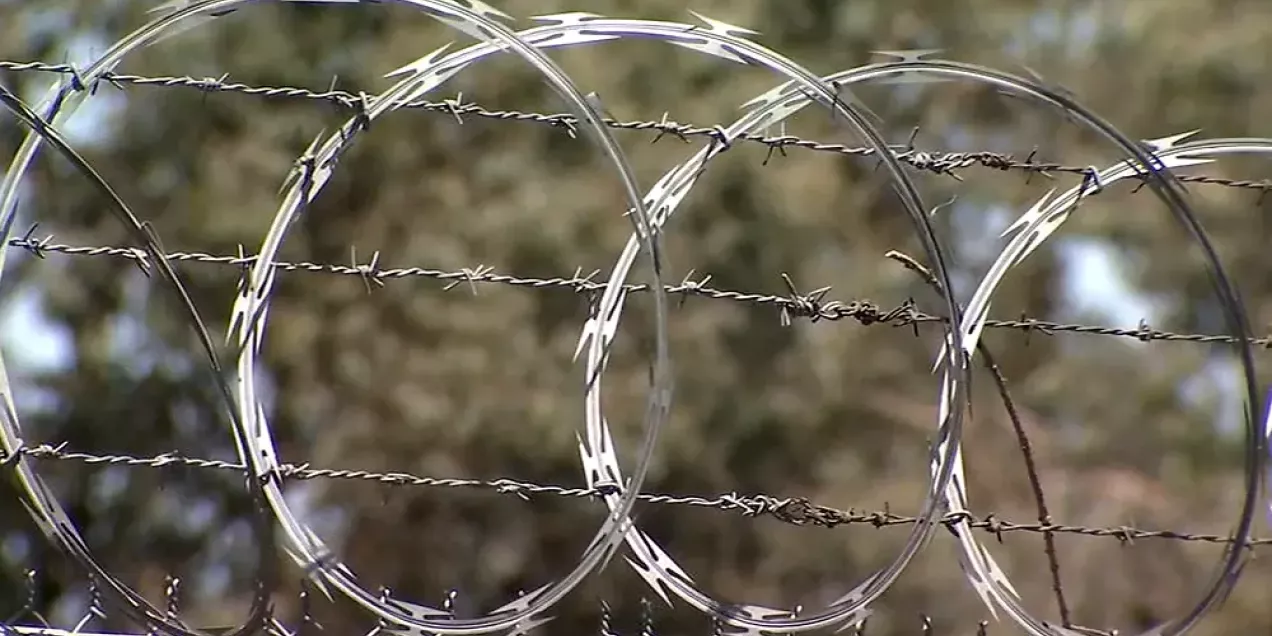 Razor wire and barbed wire