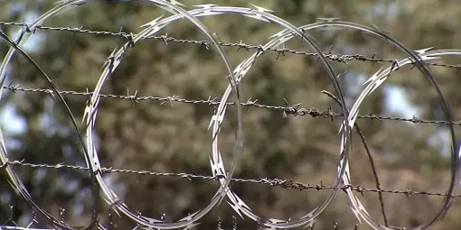 Єгоза та звичайний колючий дріт